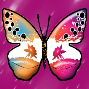 butterflies: 330