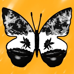 butterflies: 1775