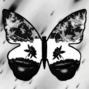 butterflies: 760