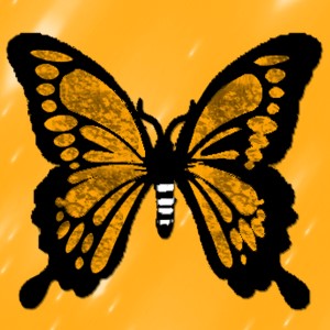 butterflies: 1913