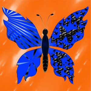 butterflies: 1712