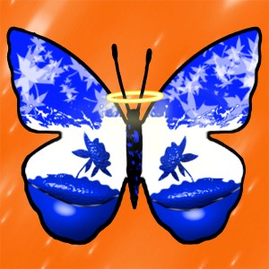 butterflies: 565