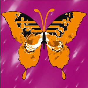 butterflies: 2091