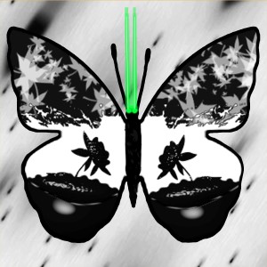 butterflies: 1432