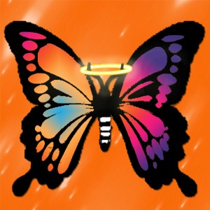 butterflies: 1093