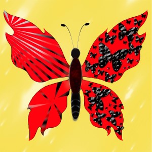 butterflies: 935