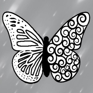 butterflies: 74