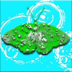 butterflies: 9