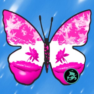 butterflies: 2107