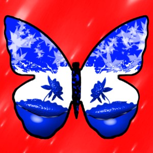 butterflies: 1416