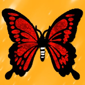 butterflies: 947