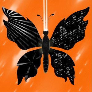 butterflies: 1594