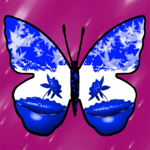 butterflies: 610