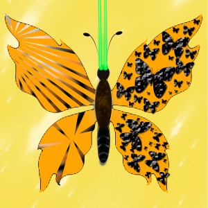 butterflies: 476