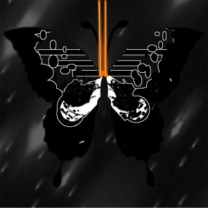 butterflies: 204