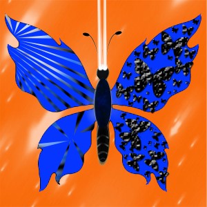 butterflies: 1897
