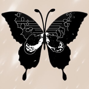 butterflies: 1054