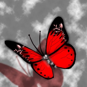 butterflies: 5