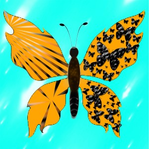 butterflies: 403