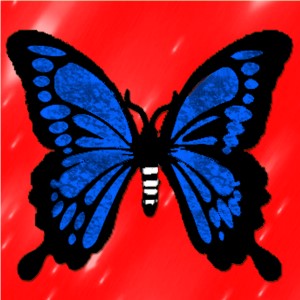butterflies: 1020
