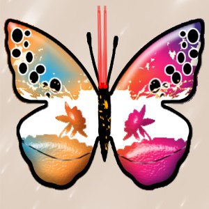 butterflies: 1653