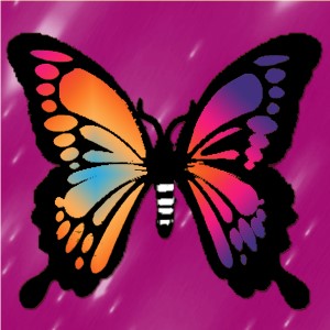 butterflies: 955