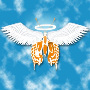 butterflies: 1