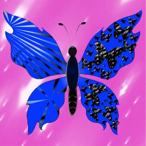 butterflies: 1720