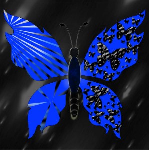 butterflies: 752