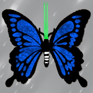 butterflies: 196