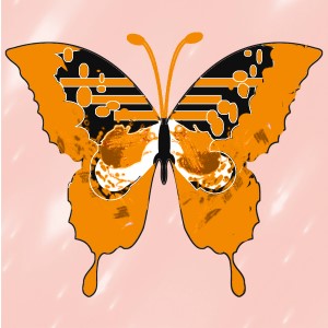 butterflies: 342