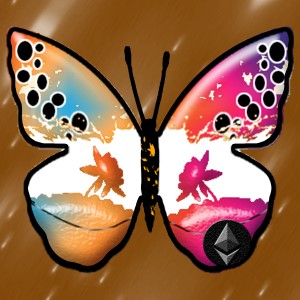 butterflies: 748