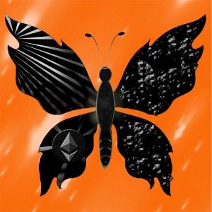 butterflies: 894