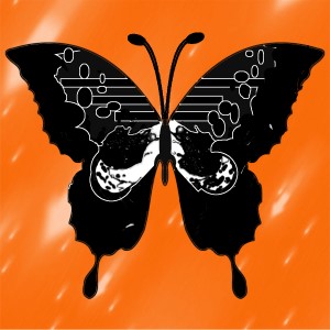 butterflies: 1247
