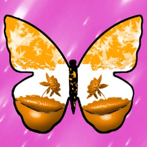 butterflies: 1184
