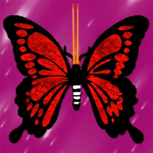 butterflies: 959