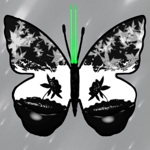 butterflies: 720