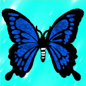 butterflies: 228