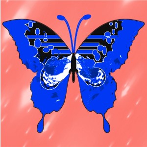 butterflies: 1275