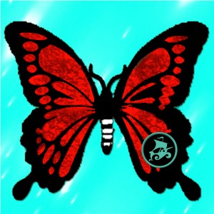 butterflies: 1688