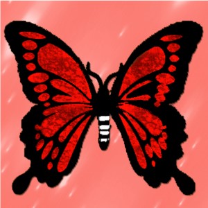 butterflies: 504