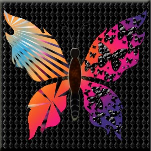 butterflies: 2132