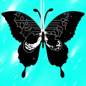 butterflies: 500