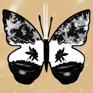 butterflies: 992
