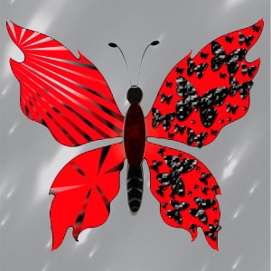 butterflies: 586
