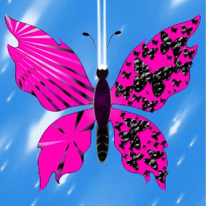 butterflies: 1554