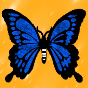 butterflies: 521