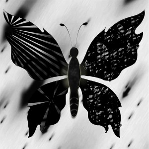 butterflies: 927
