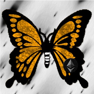 butterflies: 167