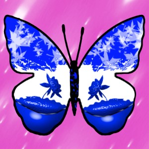 butterflies: 850